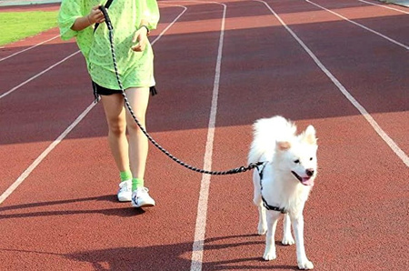 Silné, pevné, reflexní vodítko pro psy do délky 1,5 metru