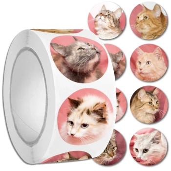 Samolepky kočičky barevné realistické na roli 500 ks. DIY pro děti