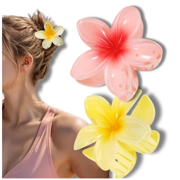 Sada spon, 2 ks vlásenek, barevné květy plumérie