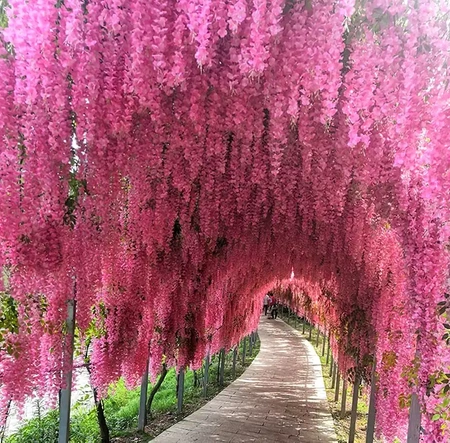 12ks závěsné květiny wisteria wisteria na girlandu